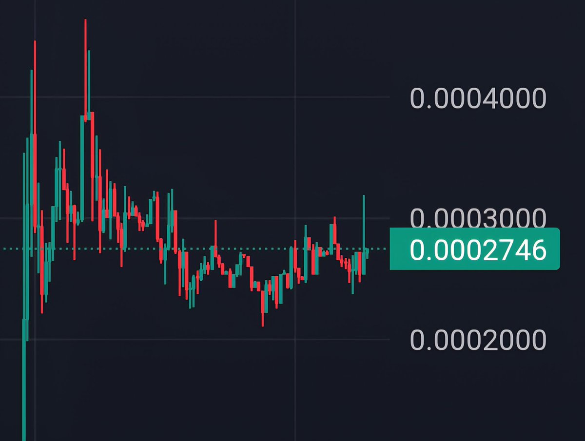 Bitrock Boy tweet media