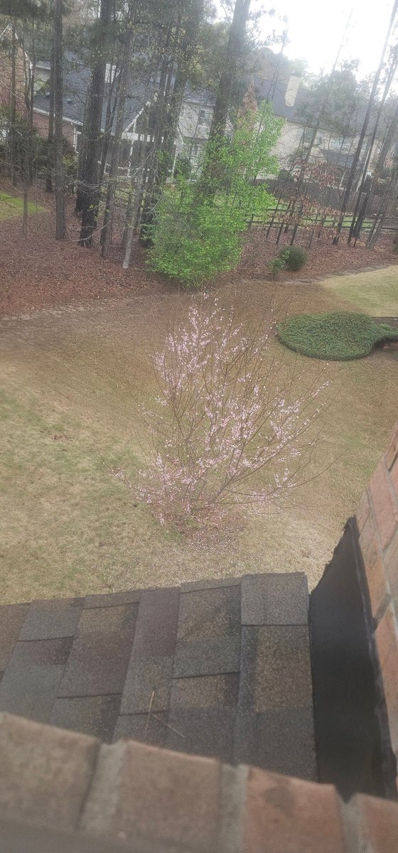 🍀Jenn 💗 tweet media