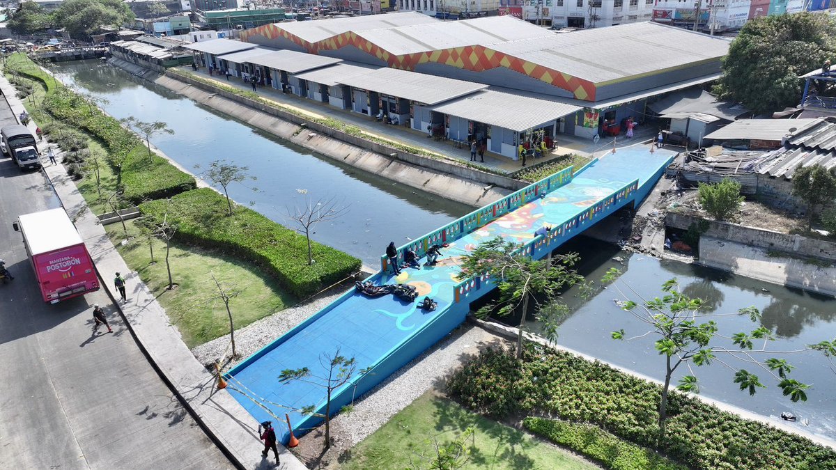 Ana Maria Aljure tweet media