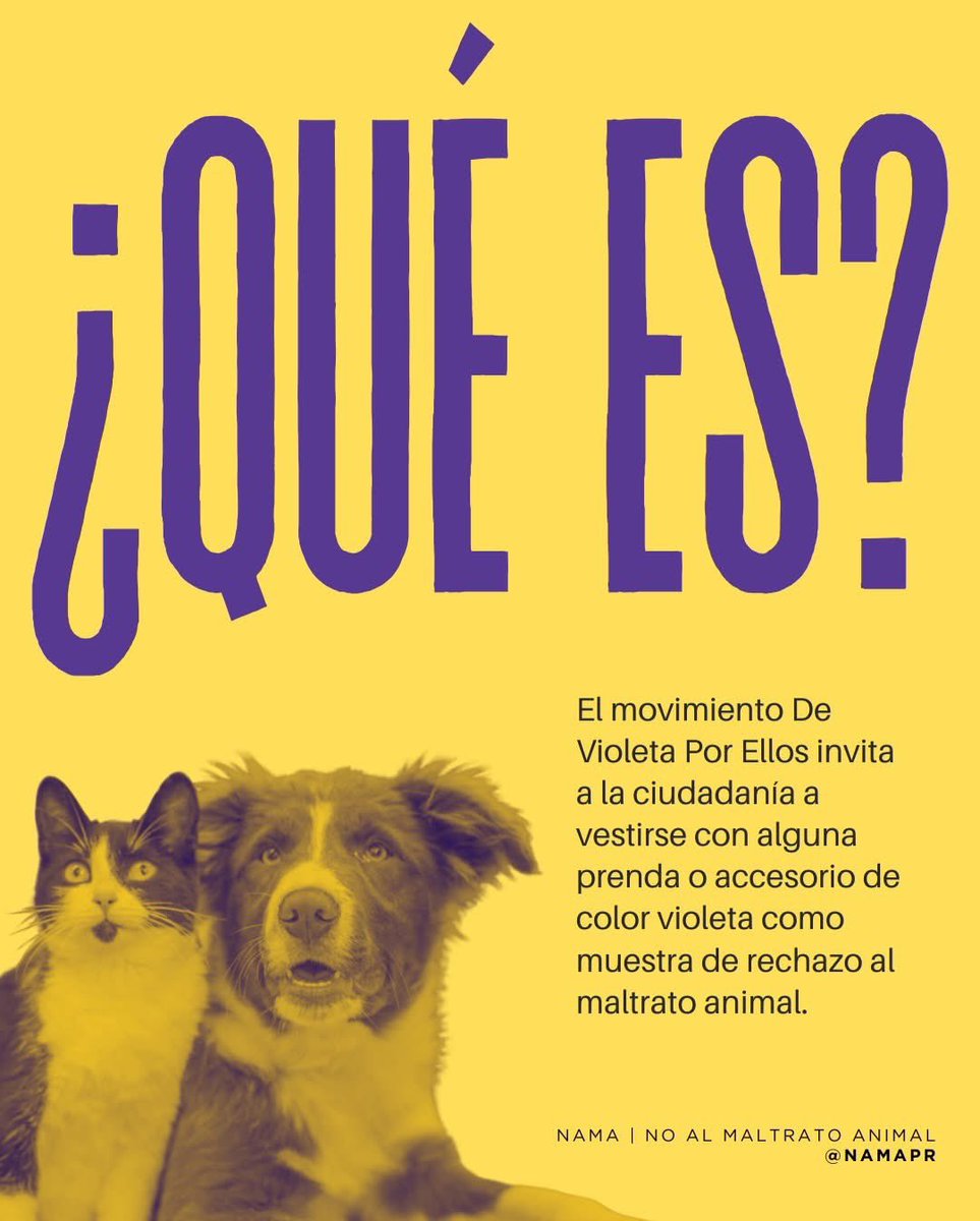 Remi Martin tweet media