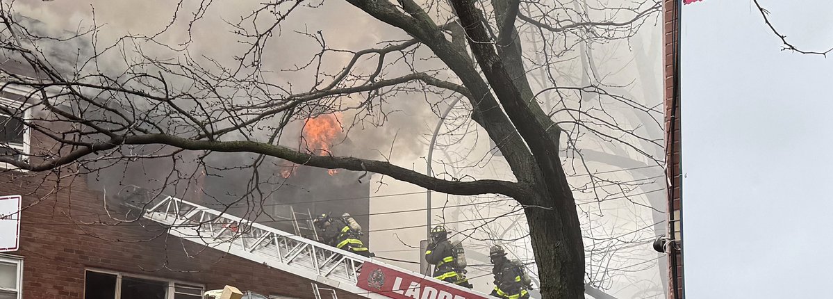 David Burns 🇺🇸🗽🇺🇸 tweet media