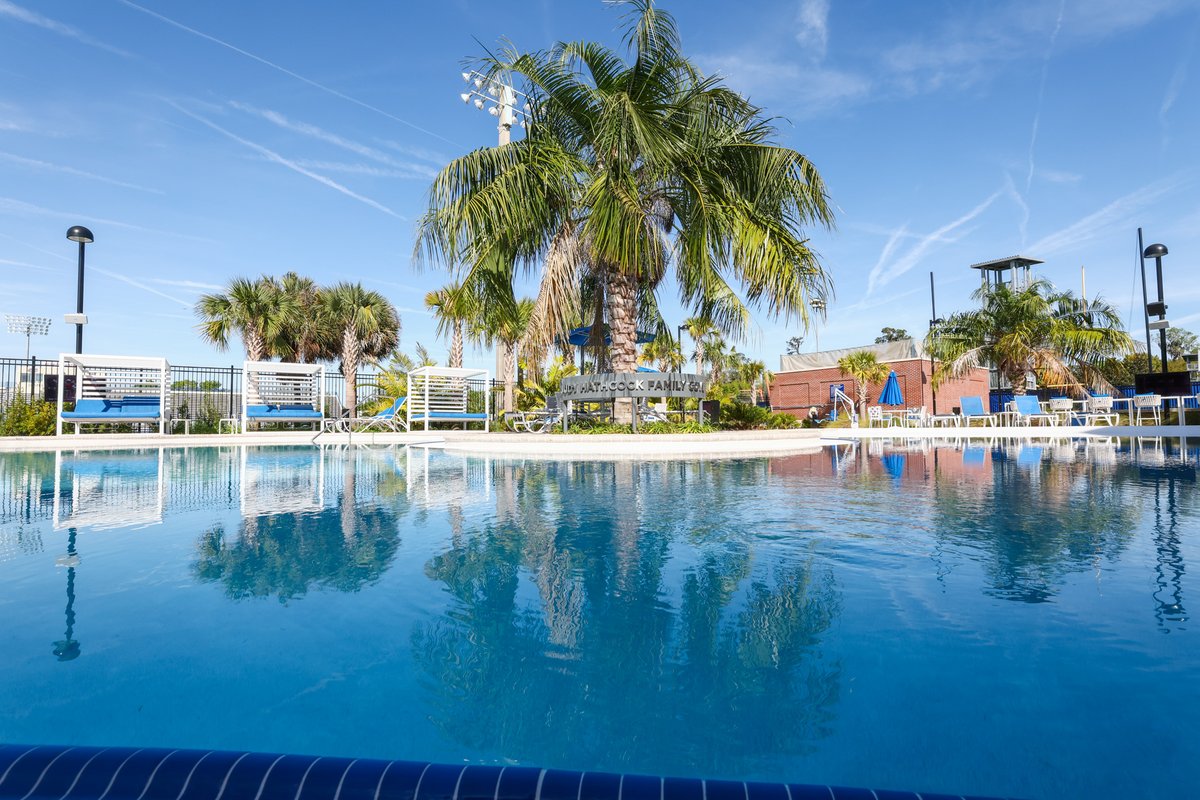 Gators Volleyball tweet media