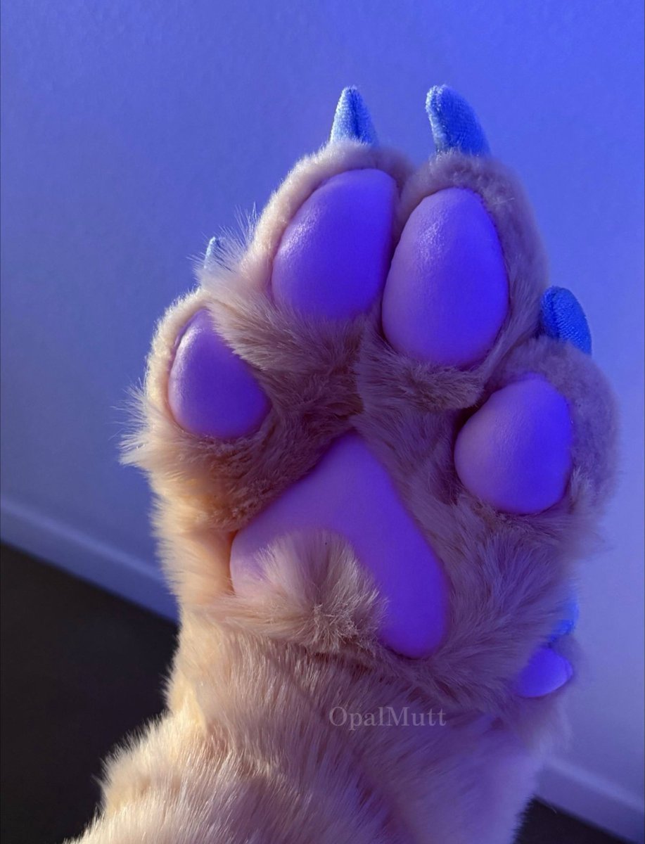 Opal Mutt tweet media