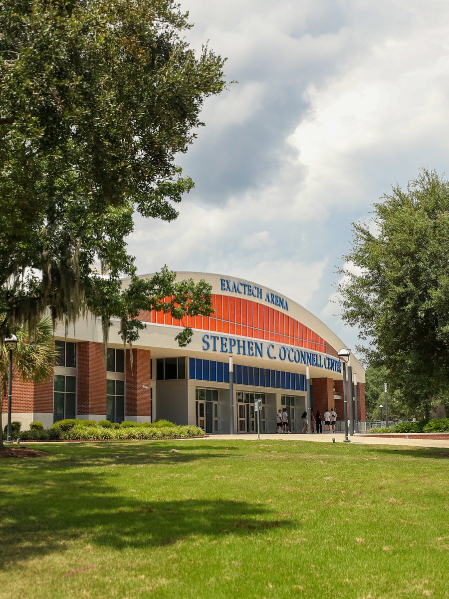 Gators Volleyball tweet media