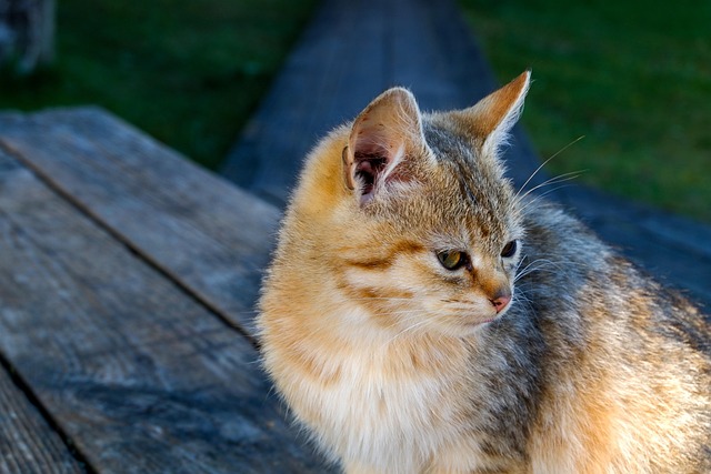 David Carroll tweet media