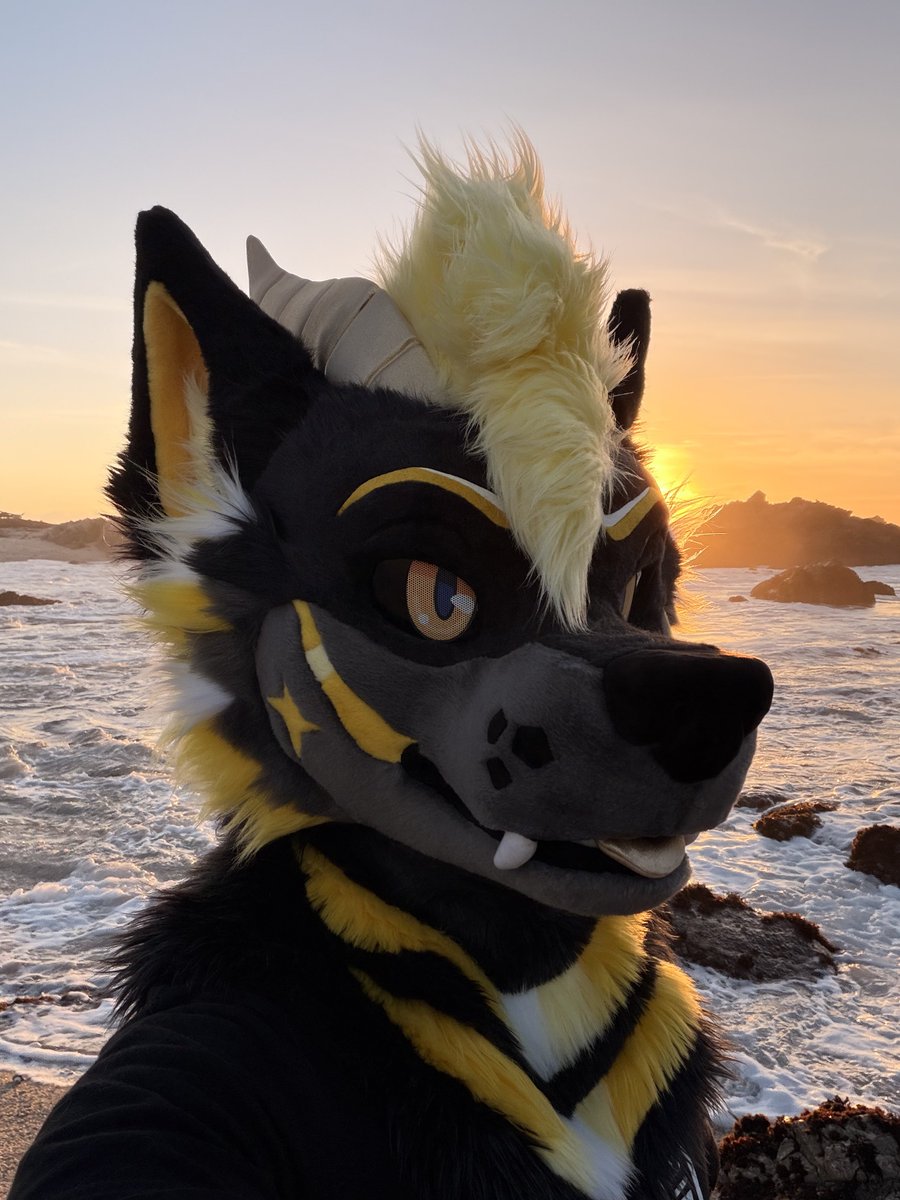 ✨ Lyte ✨ tweet media