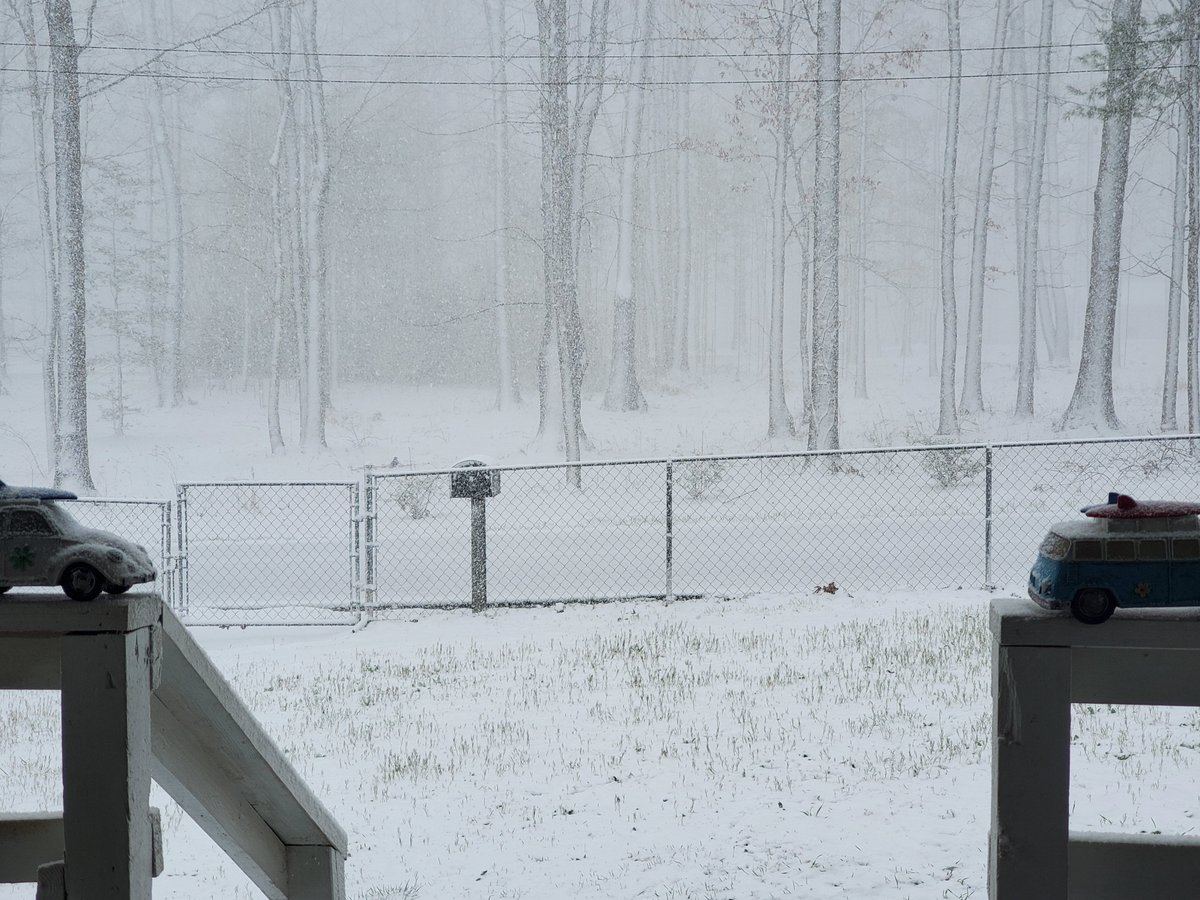 StormTrack9Dave's tweet image. Signal Mountain, TN 📷📷
📷 Sheila Schawrtz #CHAwx #Chattanooga