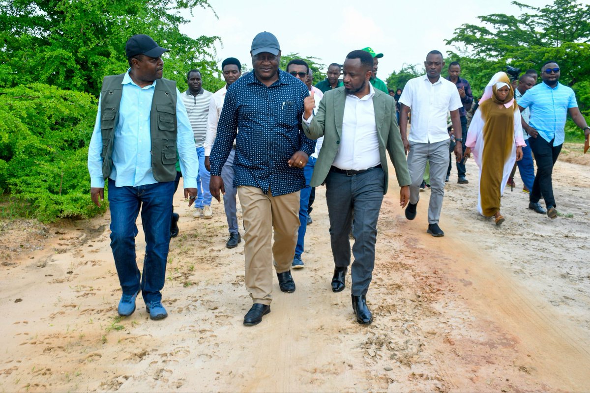 Tagie Daisy tweet media