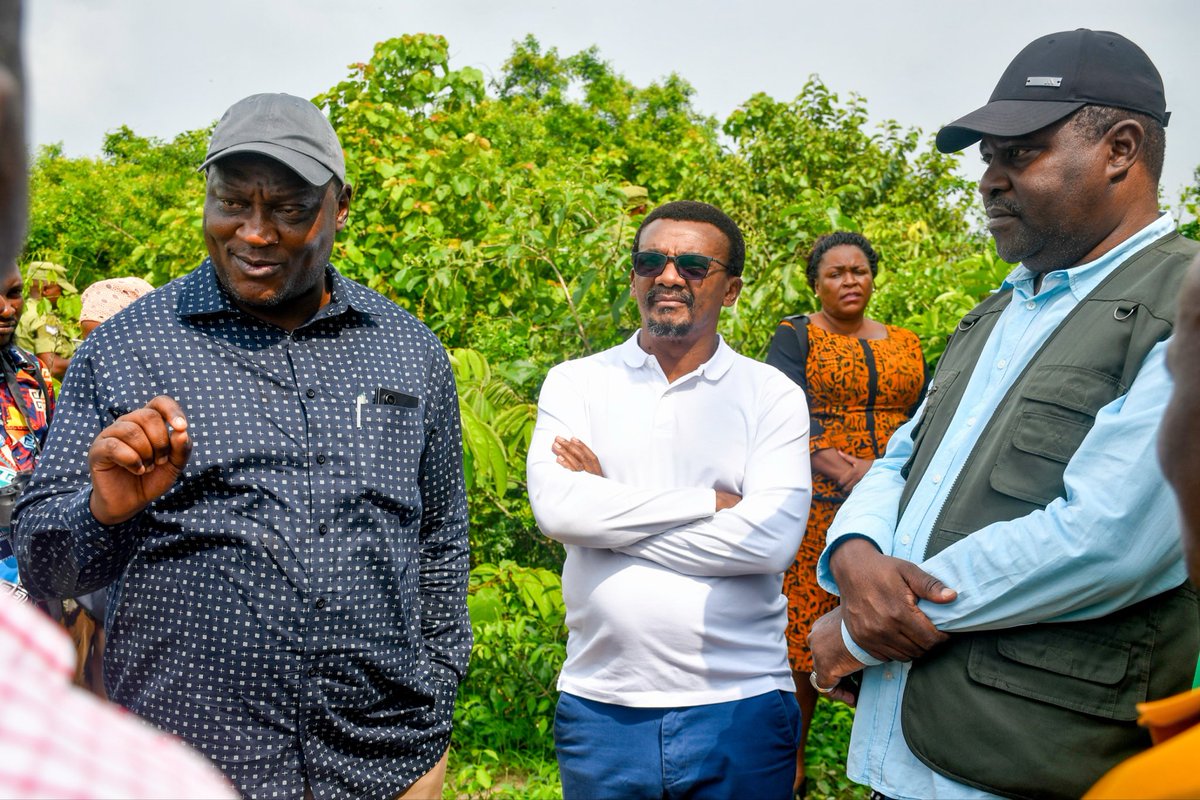 Tagie Daisy tweet media