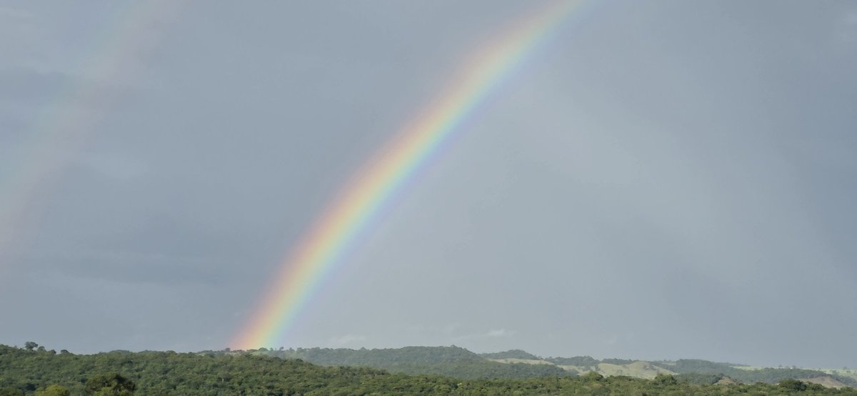 RonWerneck-PP2RON tweet media