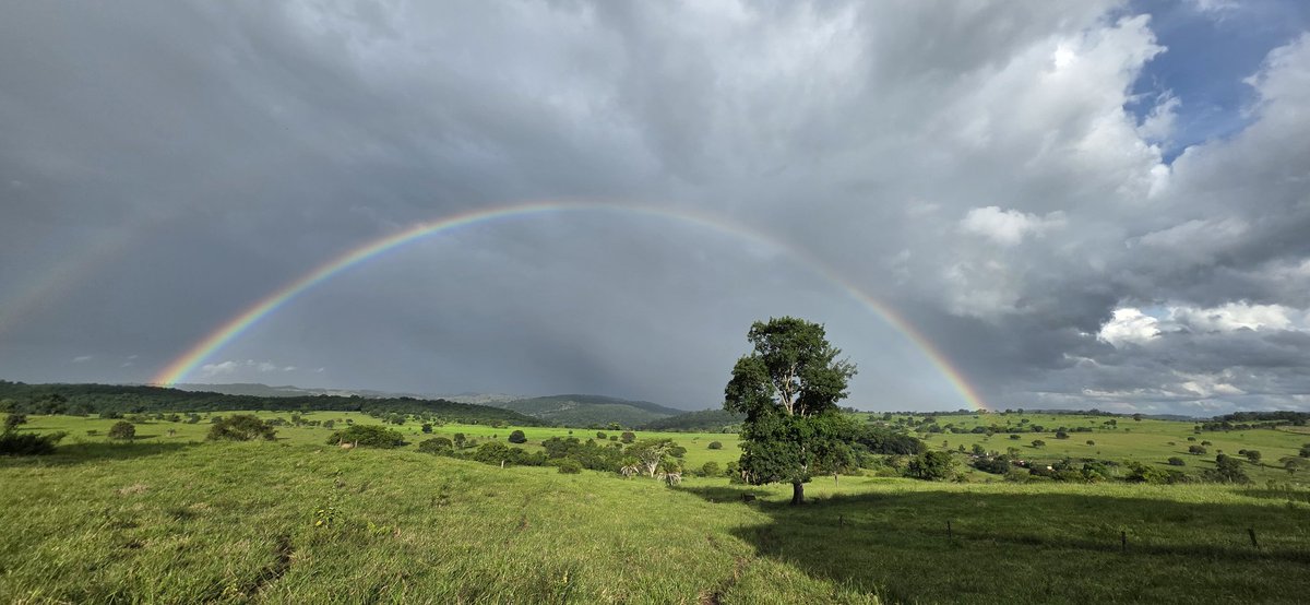 RonWerneck-PP2RON tweet media