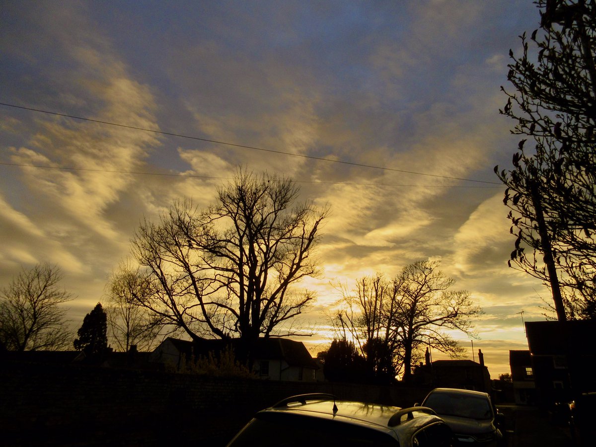 Susan Danielis Marshall tweet media