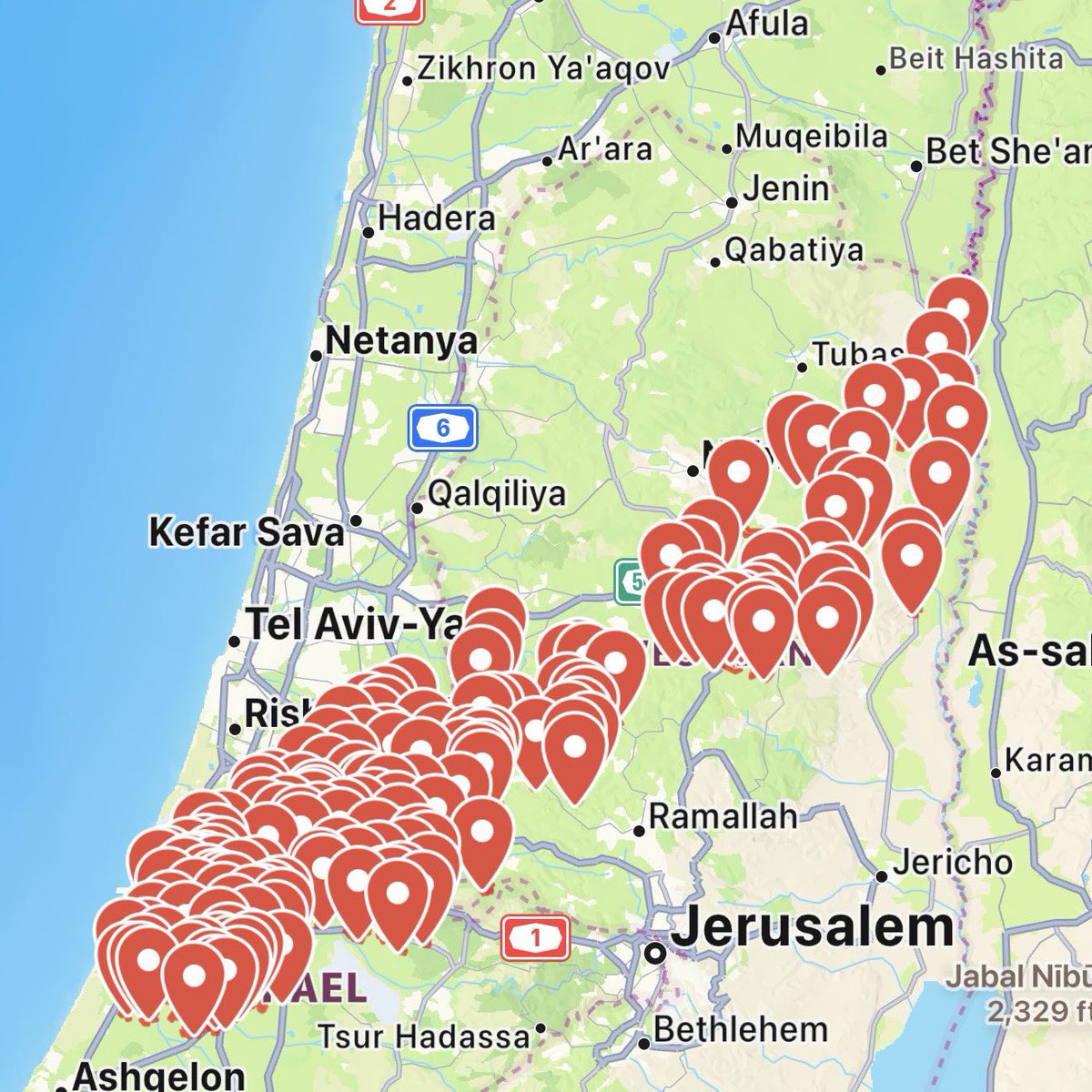 Whale Insider tweet media