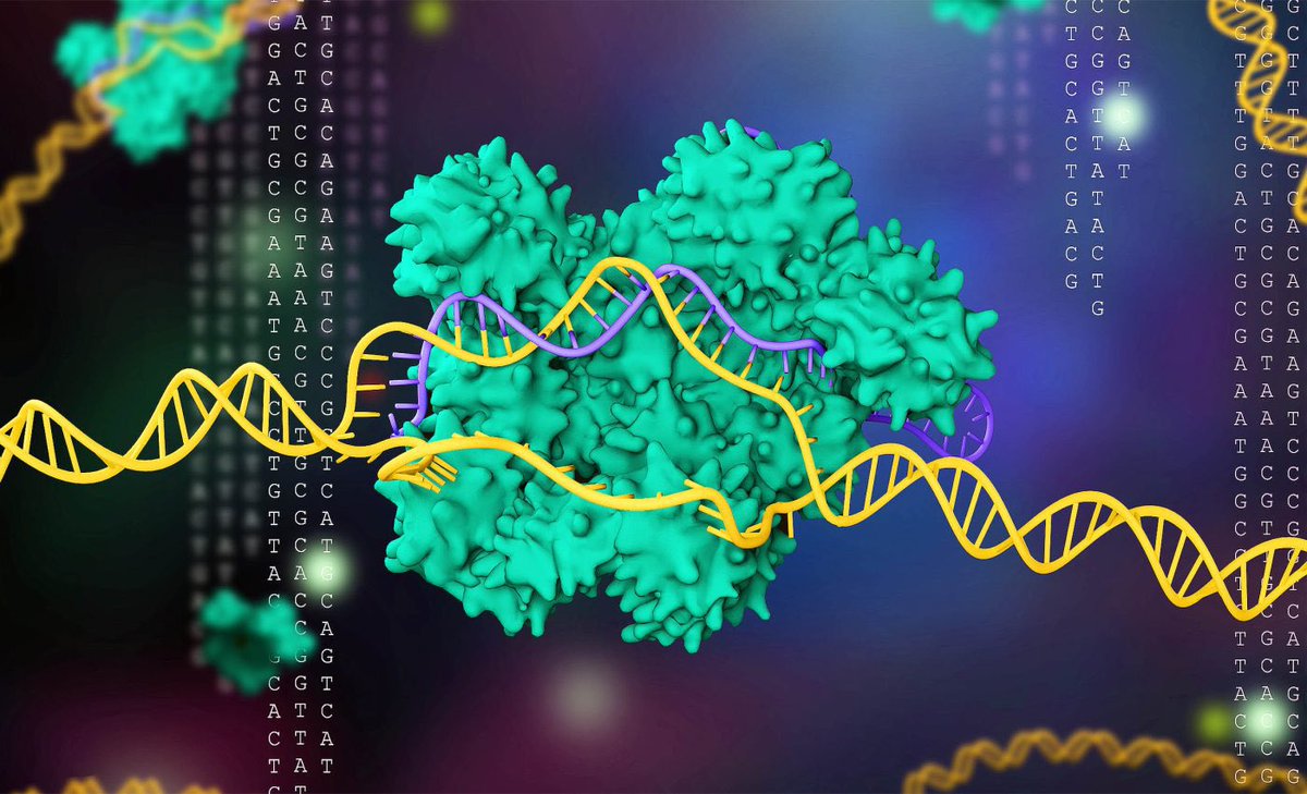 Neural Space tweet media