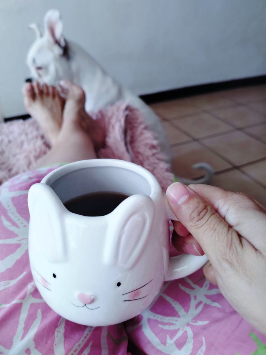NuryCede's tweet photo. Café, calma y buena compañía ☕️🐾 https://t.co/Xsls98rJy2