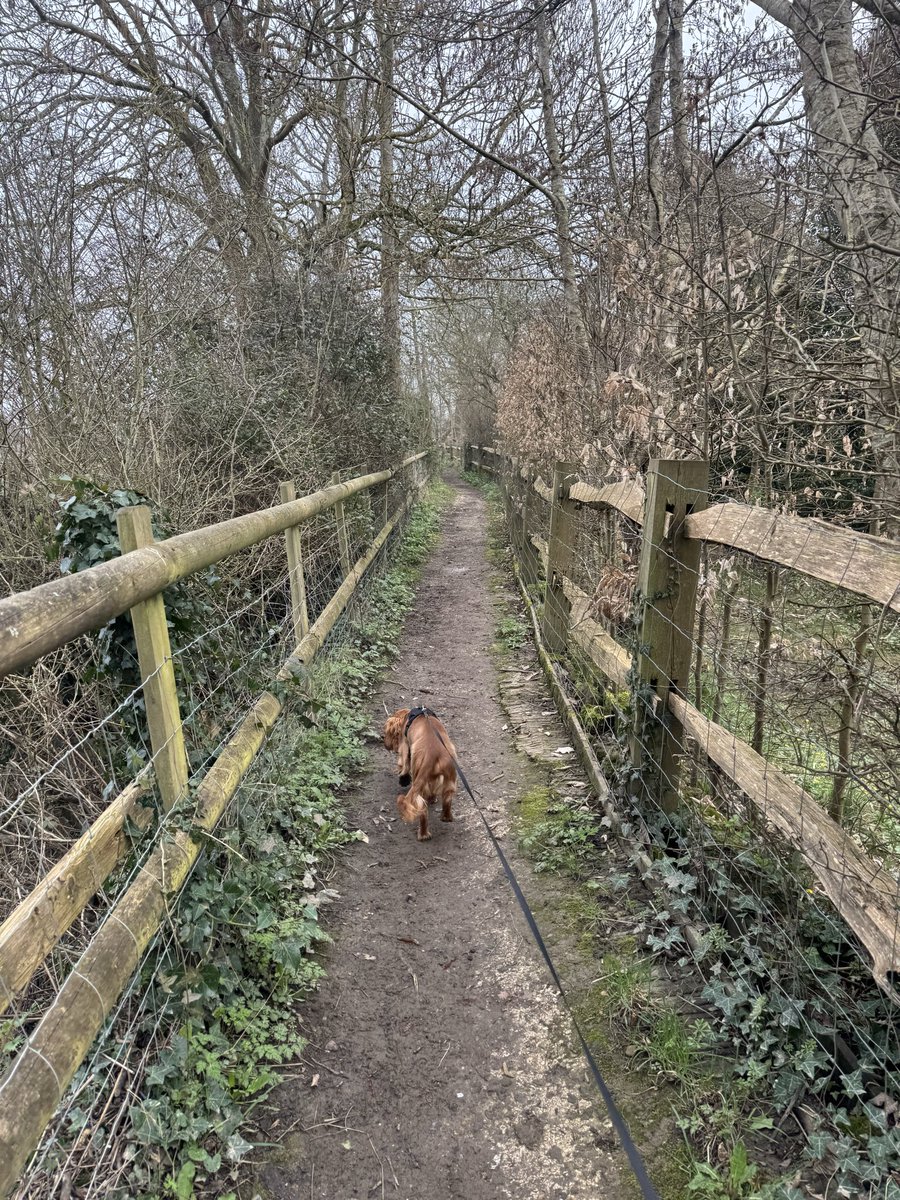 Adam Waithe tweet media