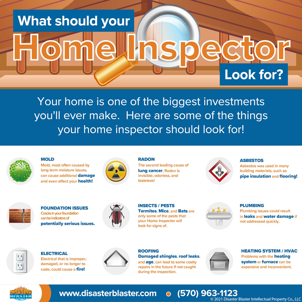 disasterblaster tweet media