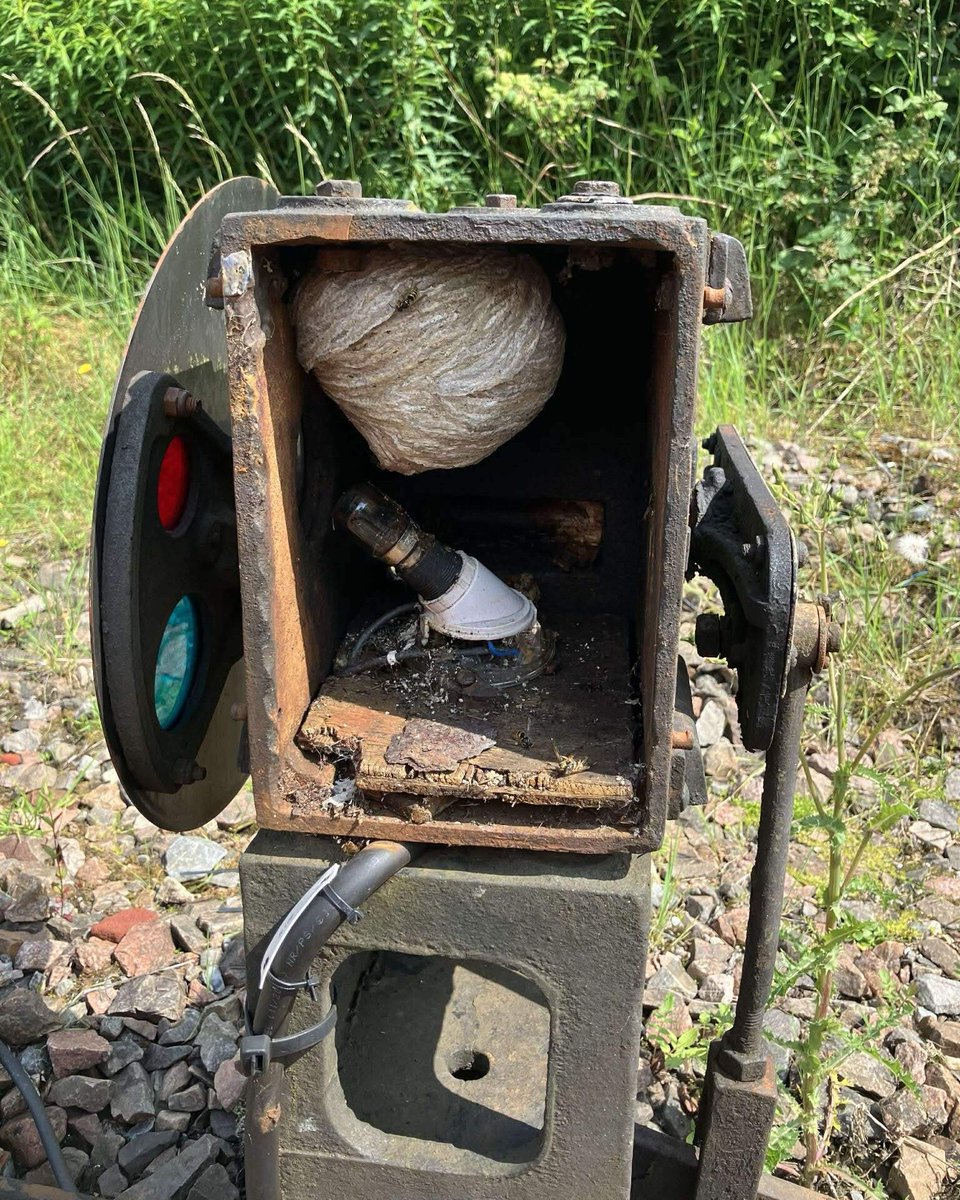 Signal of the Day 🚦🚥🚂 tweet media