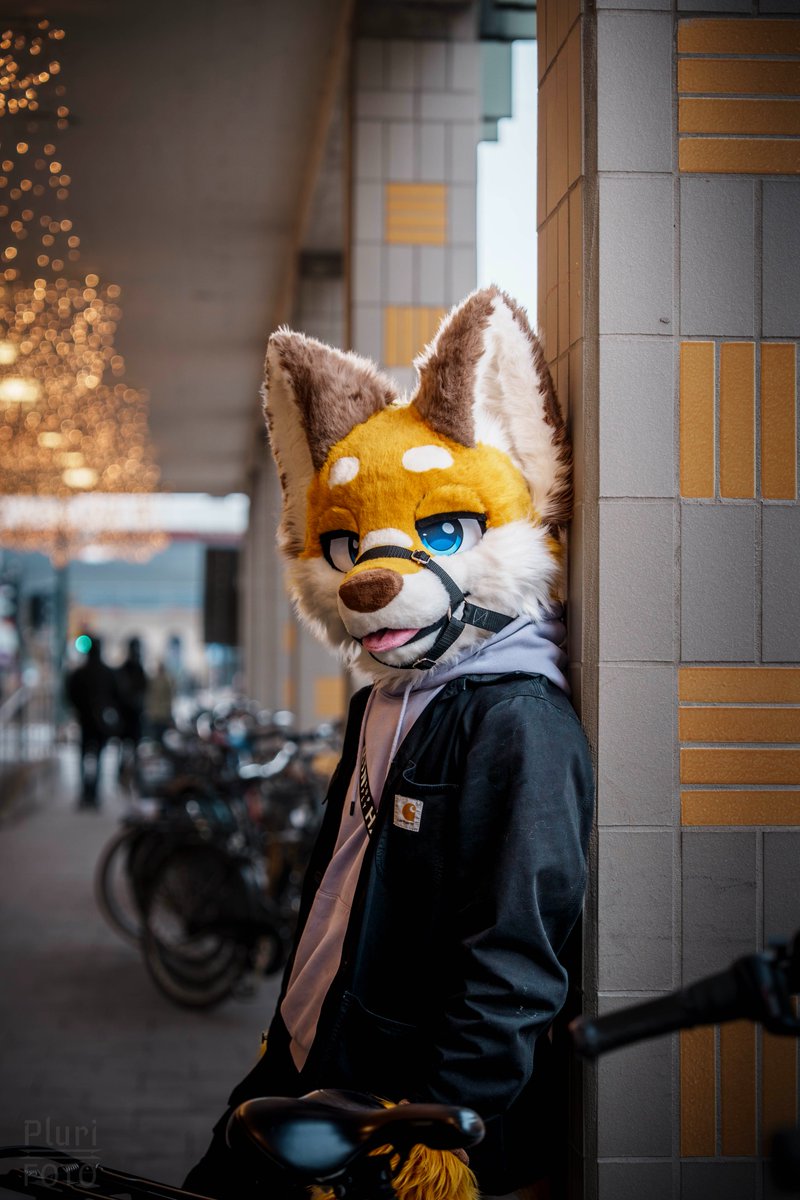 Pluri-Foto tweet media