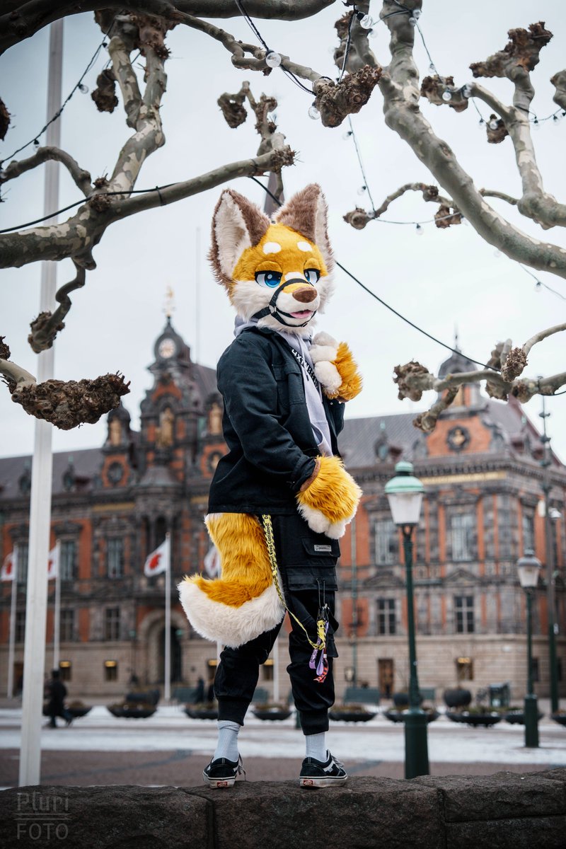 Pluri-Foto tweet media