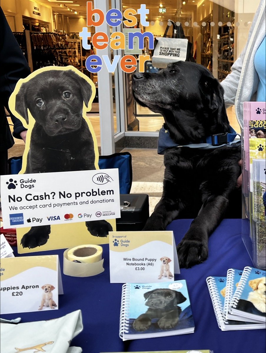 Solihull Guide Dogs tweet media