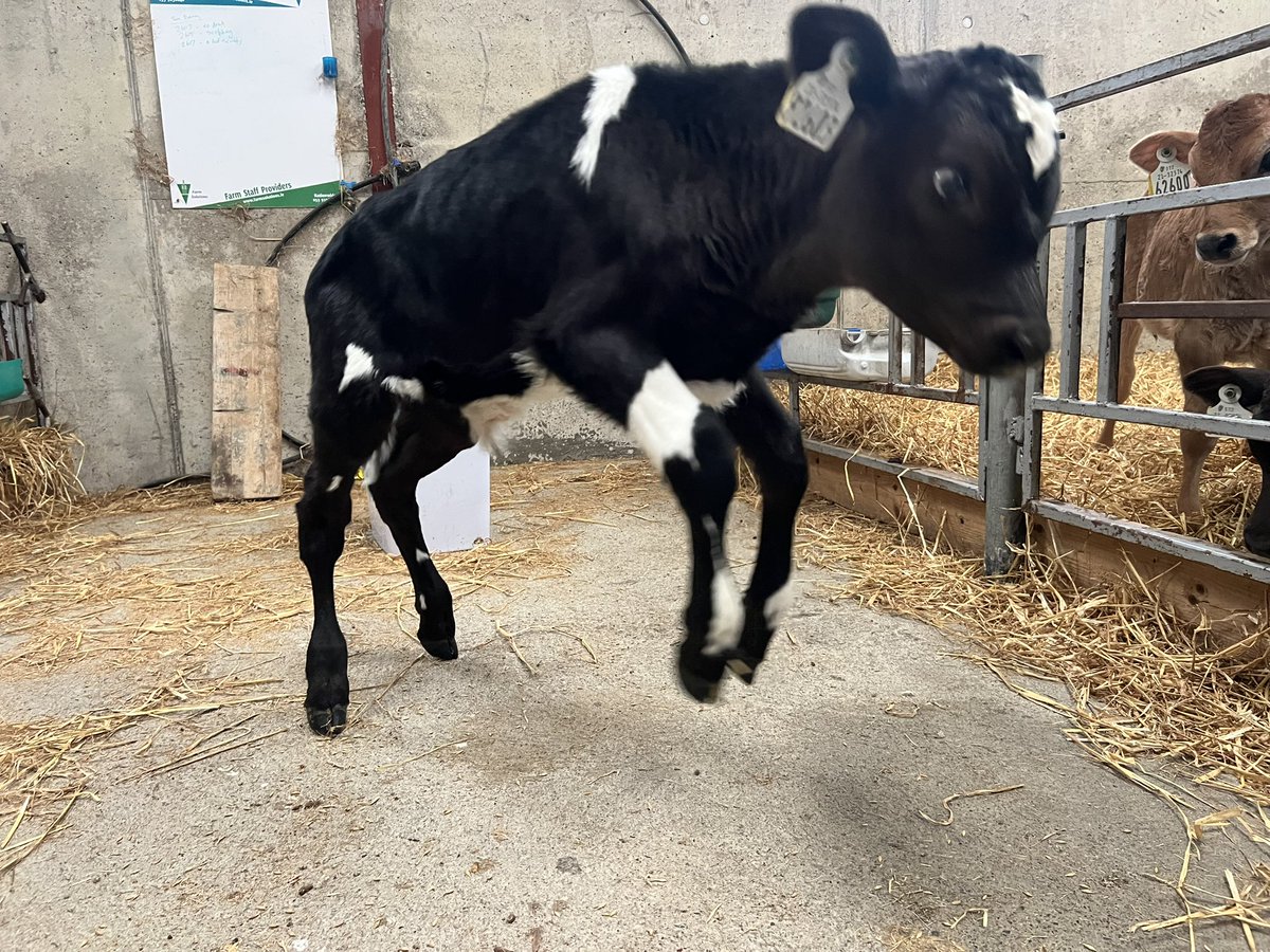 Catherine tweet media