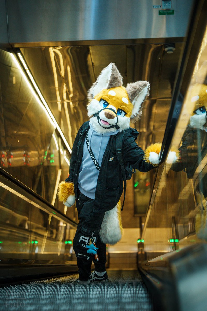 Pluri-Foto tweet media