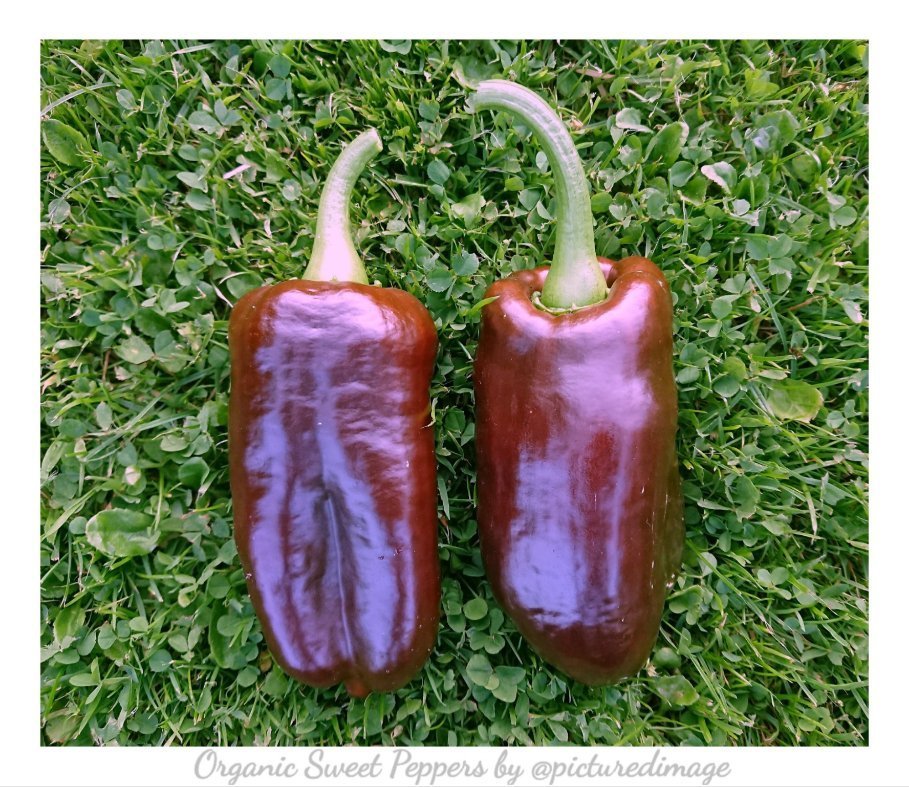 Jules 💐🌸🚜💐 tweet media