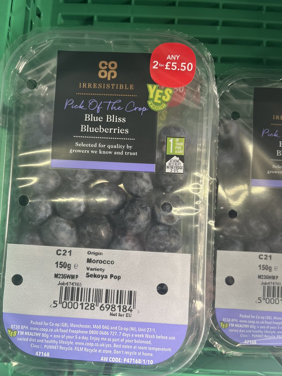 Harry Sword tweet media