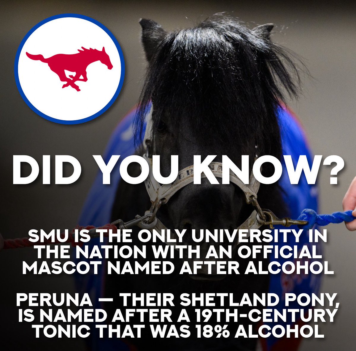 Texas Football Life tweet media