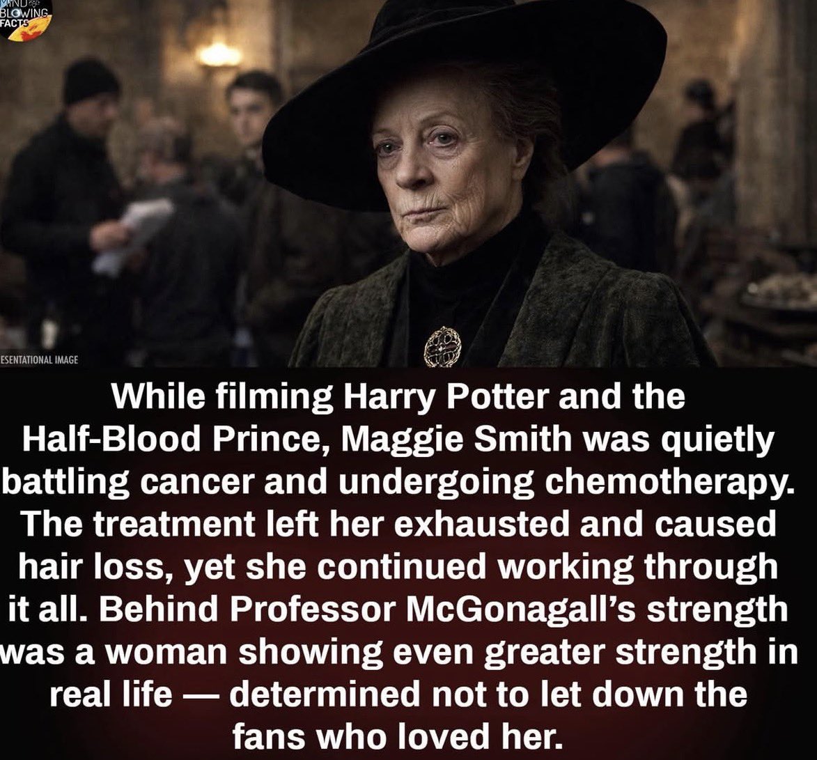 PotterWorldwide tweet media