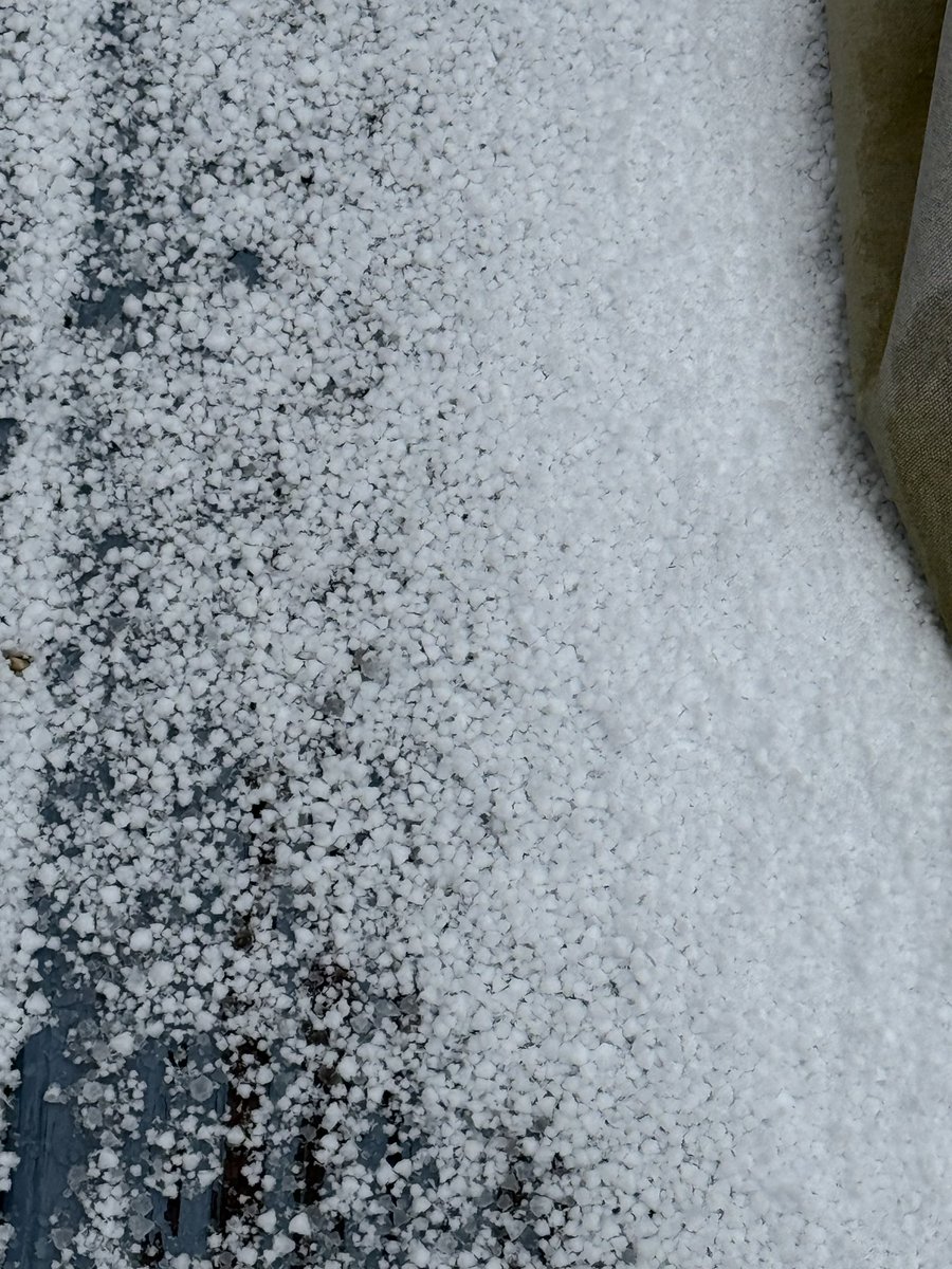 Jbertotti02's tweet photo. @SumnerSevereWx is this graupel?
It’s been precipitating this in White House this morning. #tspotter https://t.co/KzqZSFtnyL