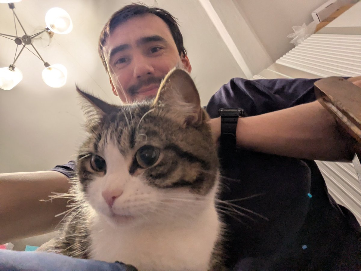 серебряный серфер tweet media