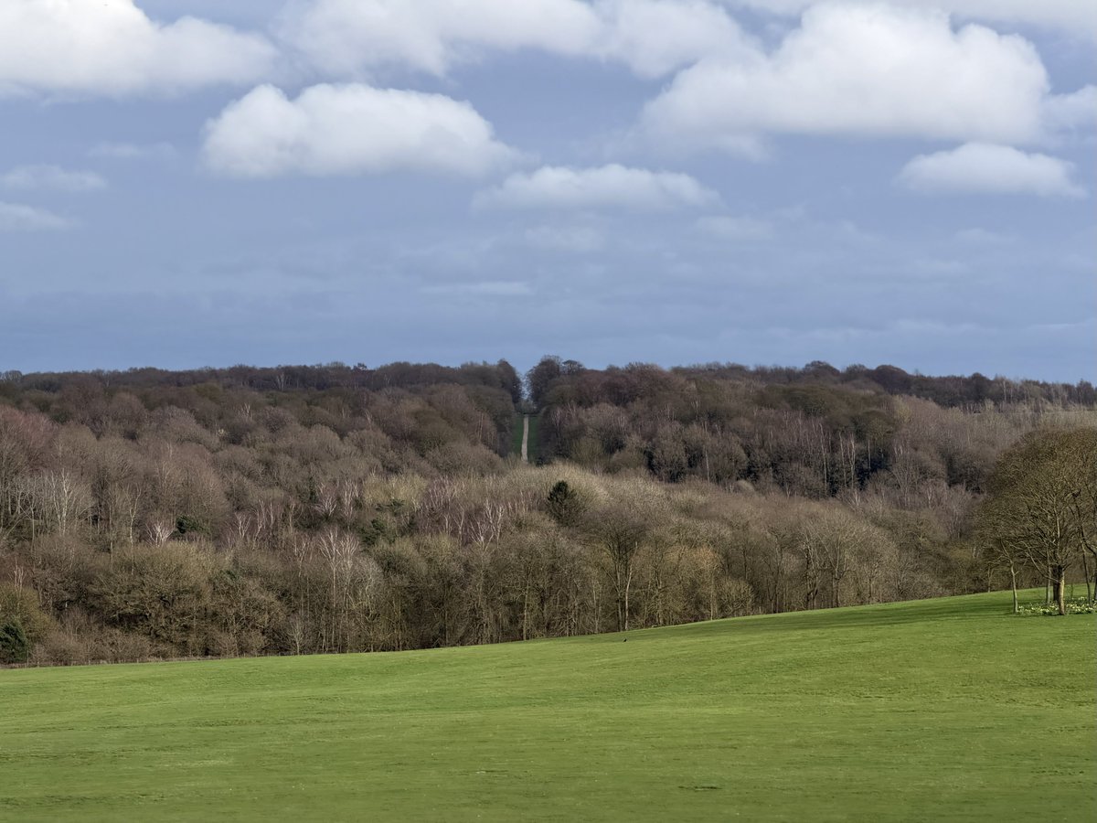 rly cool girl tweet media