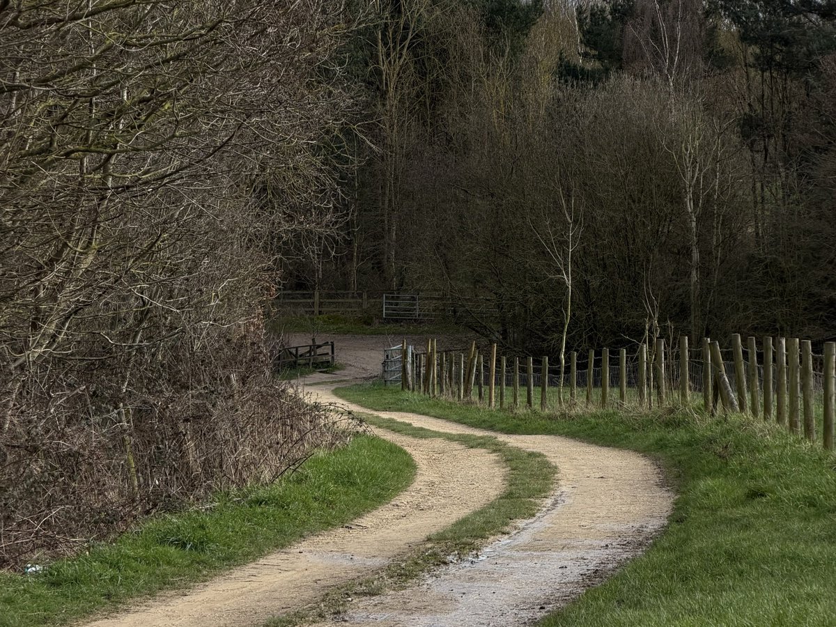 rly cool girl tweet media