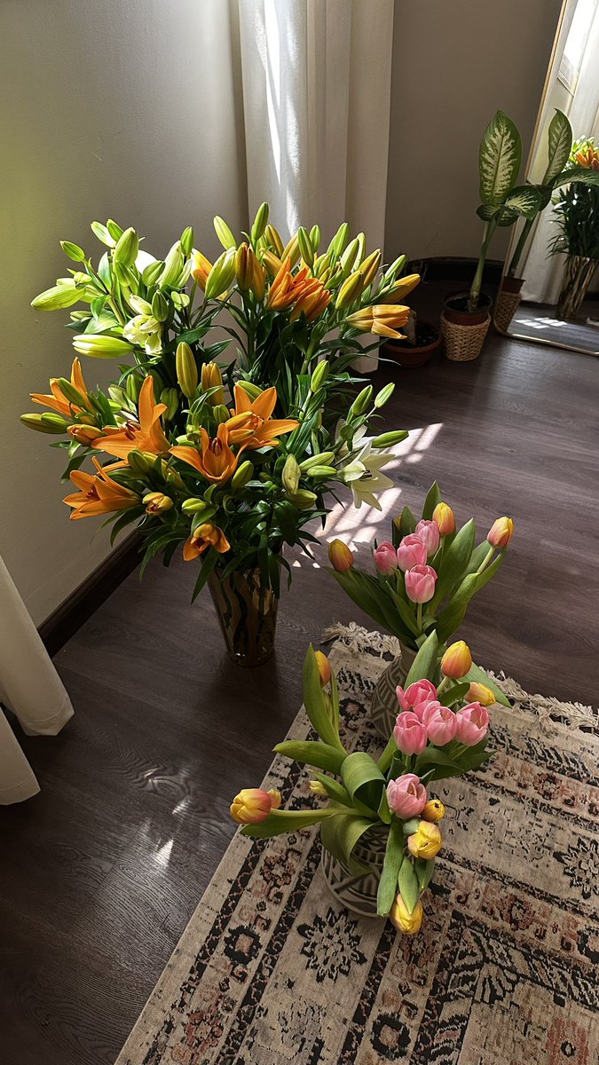 Purely Green tweet media