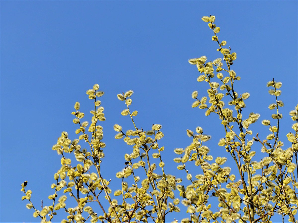 Matthew Oates tweet media