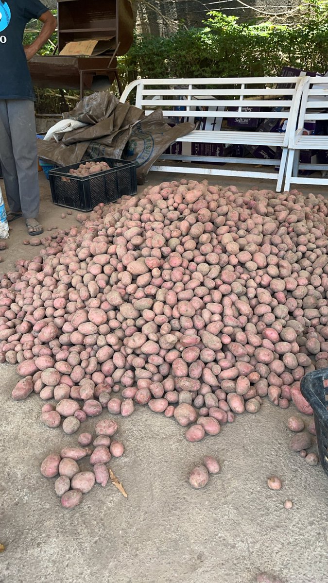 The Young Uncle tweet media