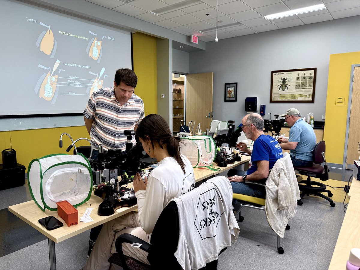 Krispn Given tweet media