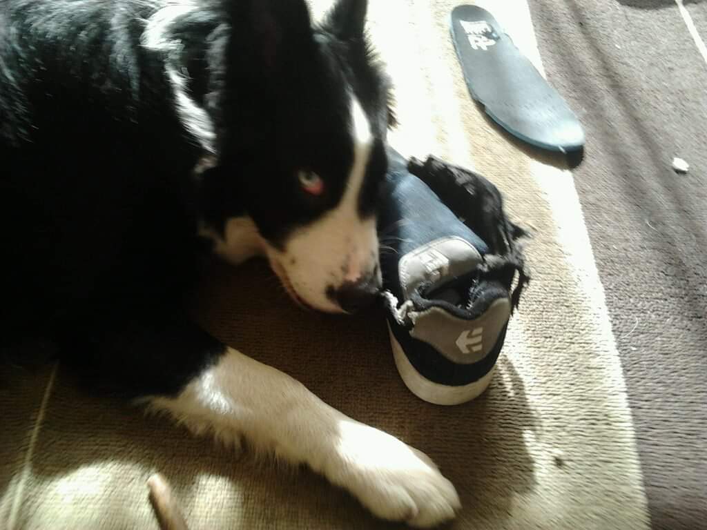 Dee_neez tweet media