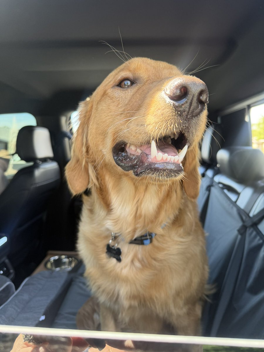 Nicole Powell tweet media