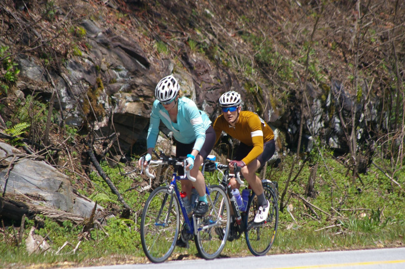 South Carolina tweet media