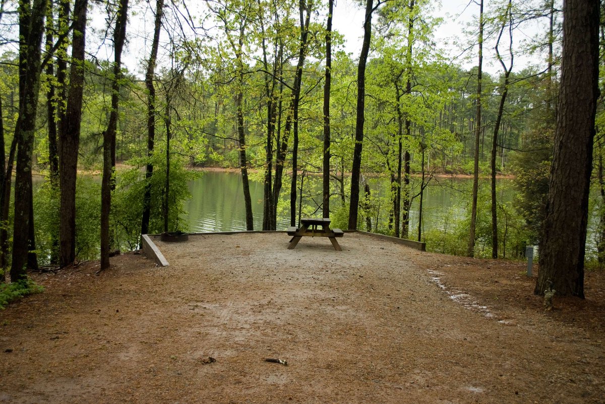 Old 96 District tweet media