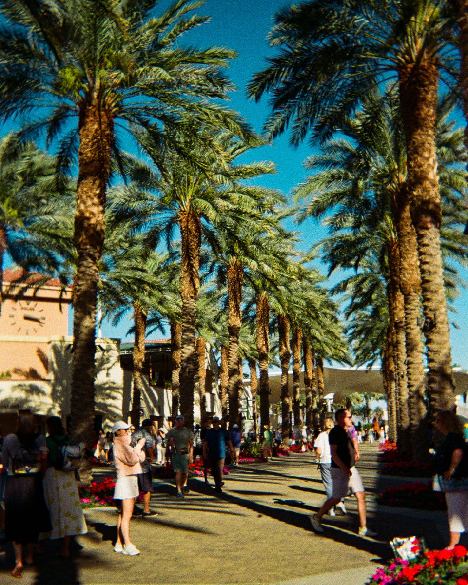 Laver Cup tweet media