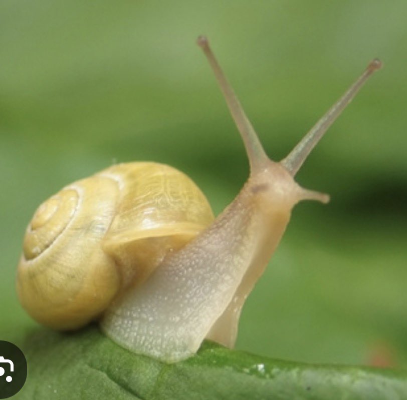 Hubert HUERTAS tweet media