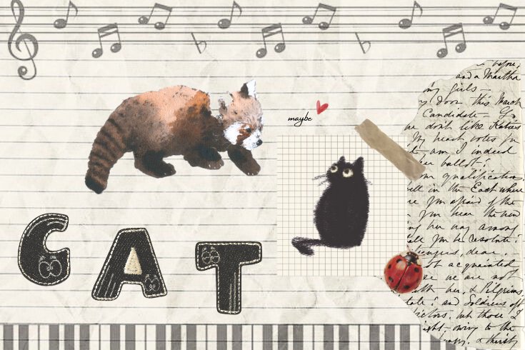 cat ˚ʚɞ˚ tweet media