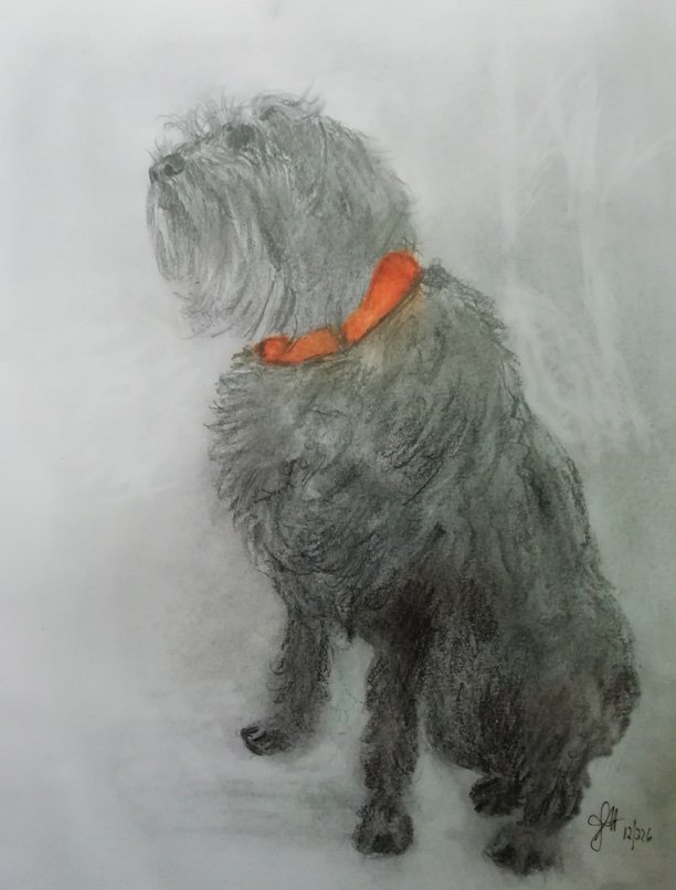 Red 🇩🇪 🇾🇪 tweet media