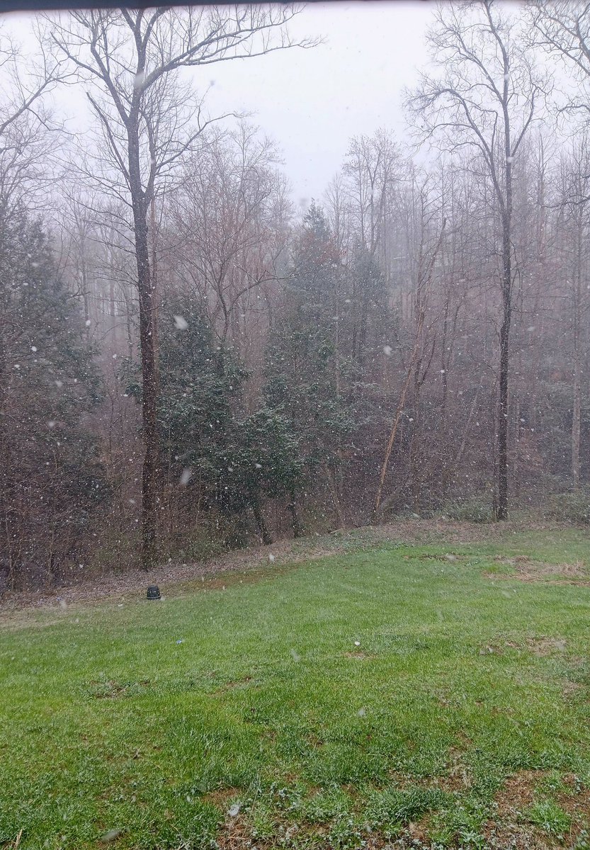 robynrenee98's tweet photo. @Kentuckyweather first 2 pictures taken 15-20 minutes apart about 40mins ago. Video from just now, snow is blowing and coming down out there. Schools did early dismissal at 1pm. Menifee County https://t.co/jiPYFAVdS3