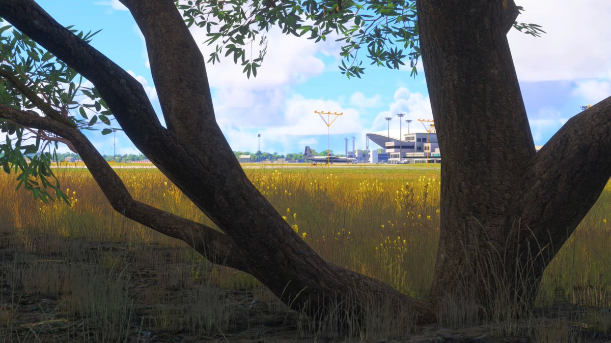 Chloe Howie 🍉 tweet media