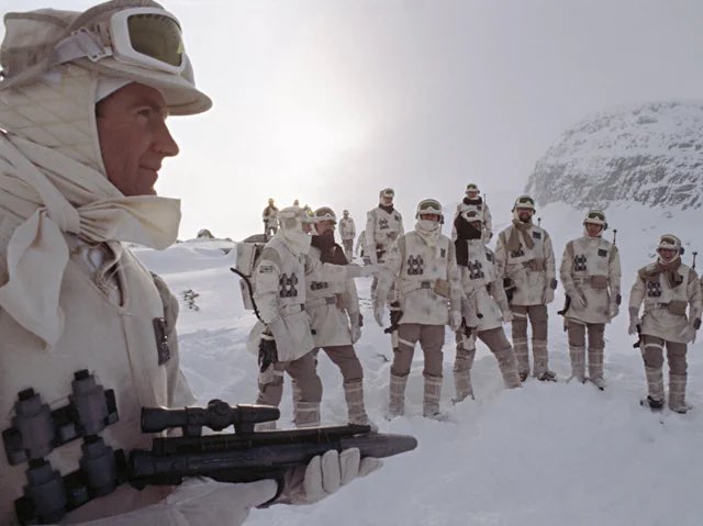 Sighduck tweet media